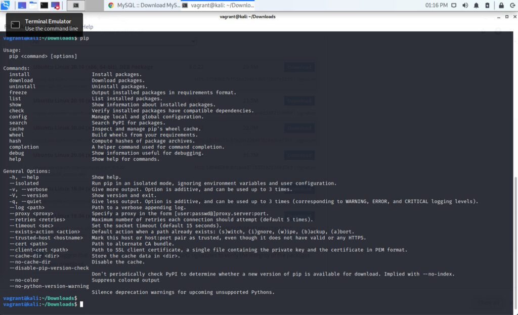 Linux on the desktop as a web developer