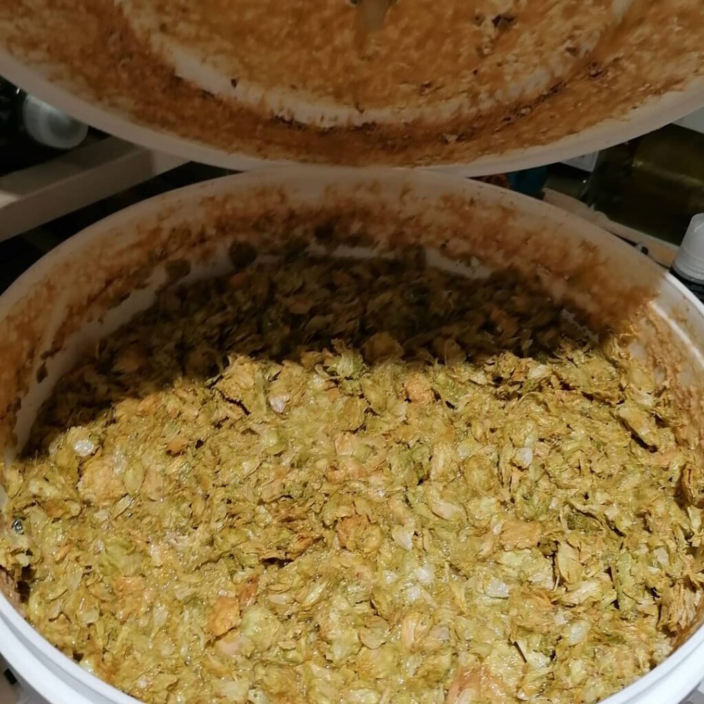 Adding hops to beer