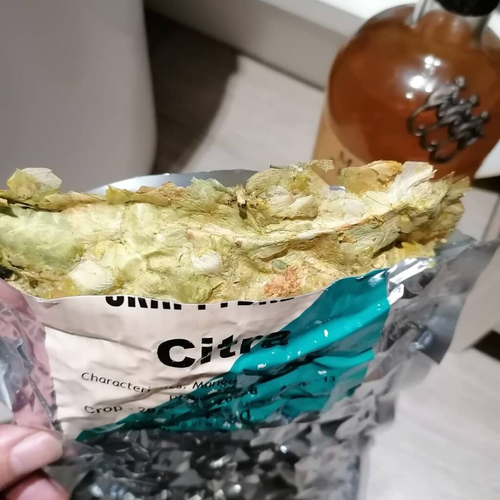 Hop packet