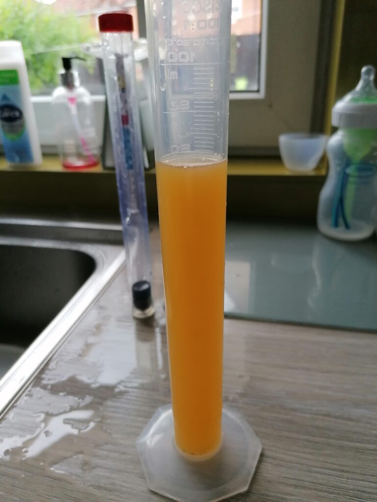 Golden Stag homebrew ready to bottle