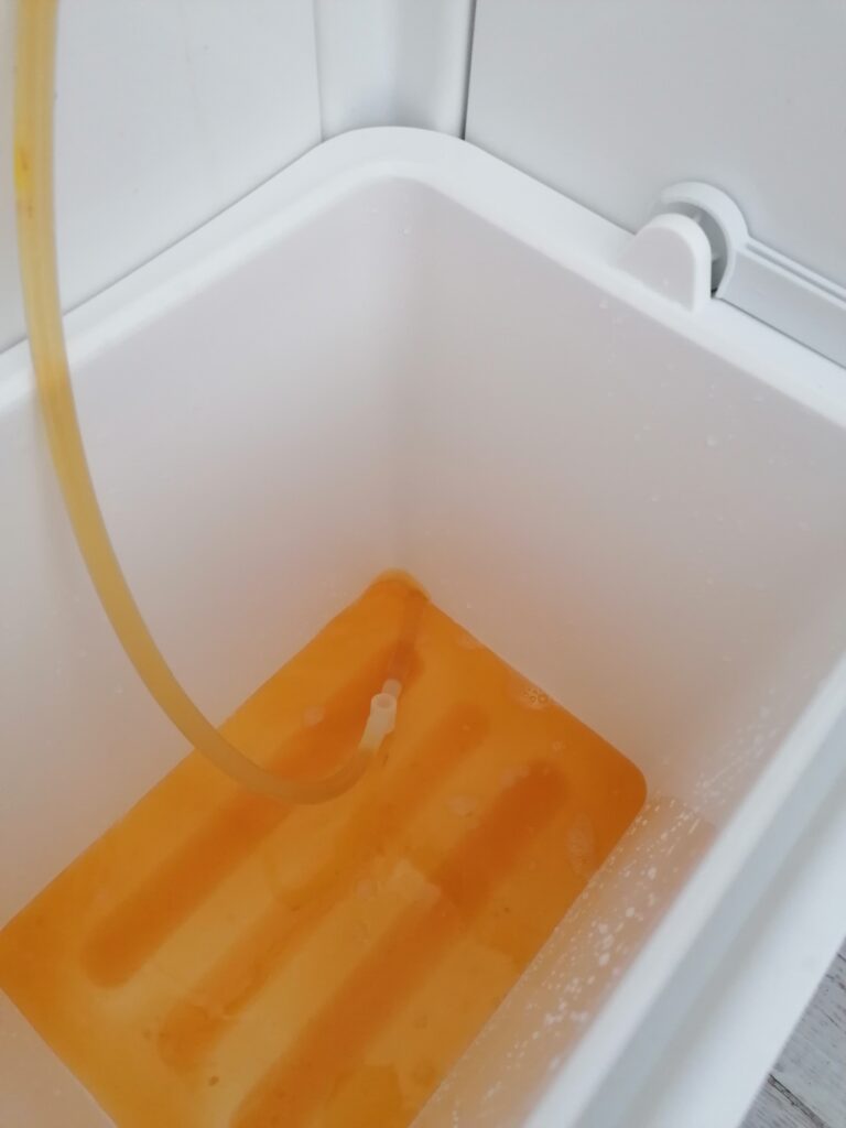 Golden colour homebrew beer