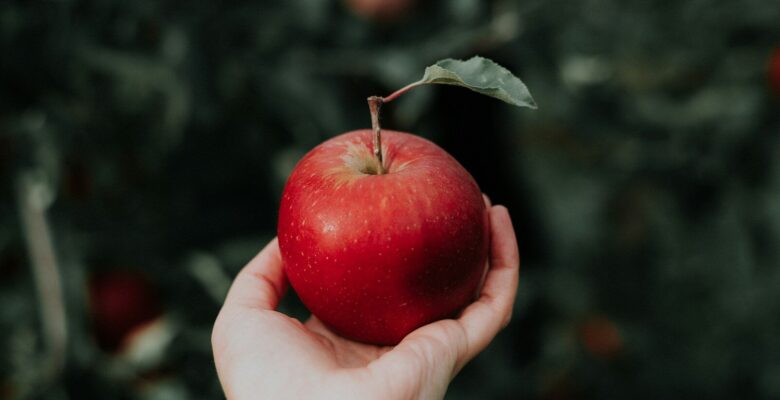 Unlock the Hidden Local AI LLM On Your Mac Already Built In 1 one red apple